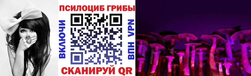 хочу наркоту  Тамбов  Галлюциногенные грибы ЛСД 