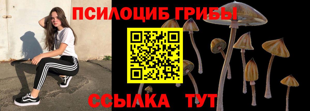 Галлюциногенные грибы мухоморы  Вход с VPN  купить   Тамбов 