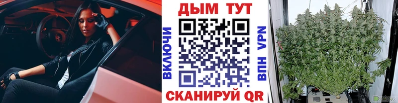 omg   Тамбов  Канабис ГИДРОПОН 